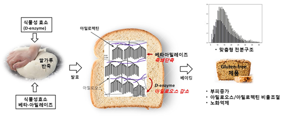 식품화학실험실